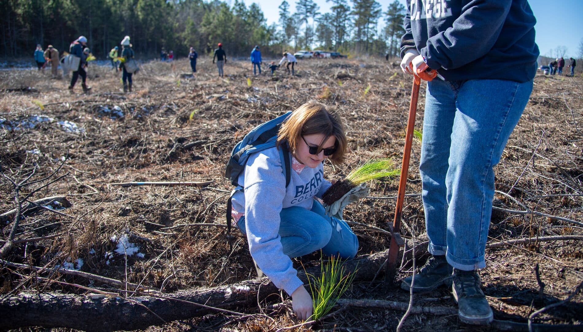 Students planting trees